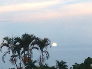 Moonset over Miami
